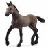 Schleich-Peruviaanse-Pasoveulen.JPG