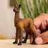 Schleich Lama veulen