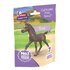 Schleich-81479-veulen-Ravi-a.JPG